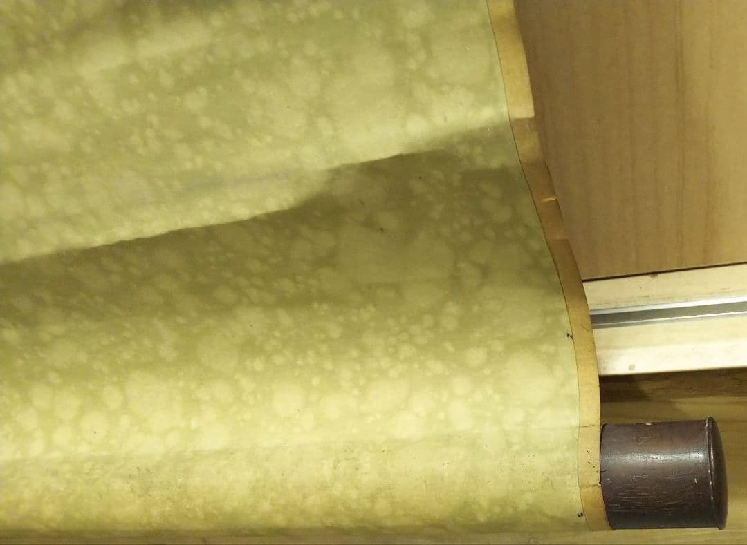 掛け軸　丙辰　夏雪堂