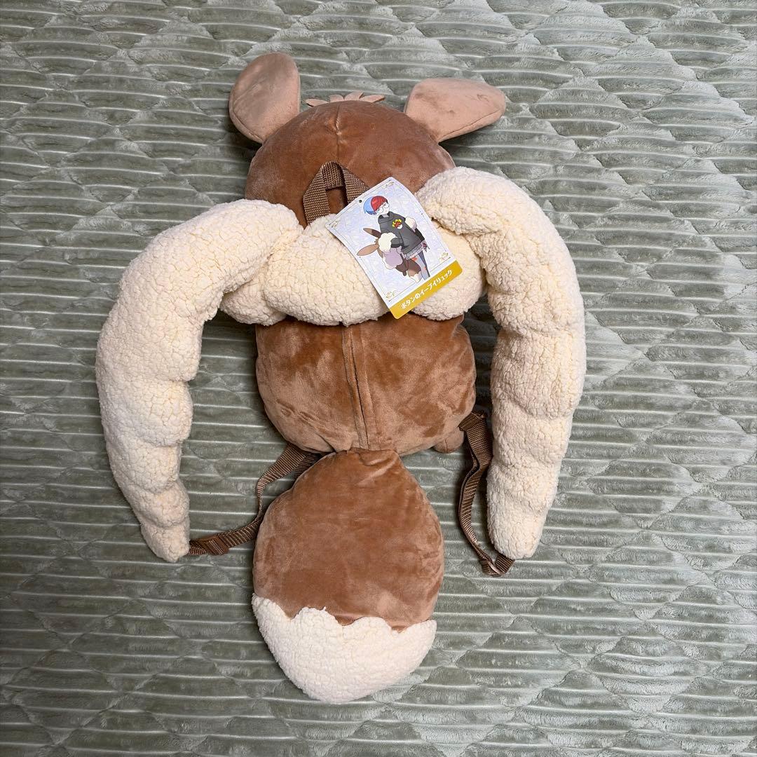 未使用　ボタンのイーブイリュック【送料無料】