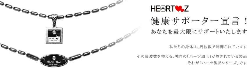 HEARTZ/ハーツ スーパーメタリックネックレス II