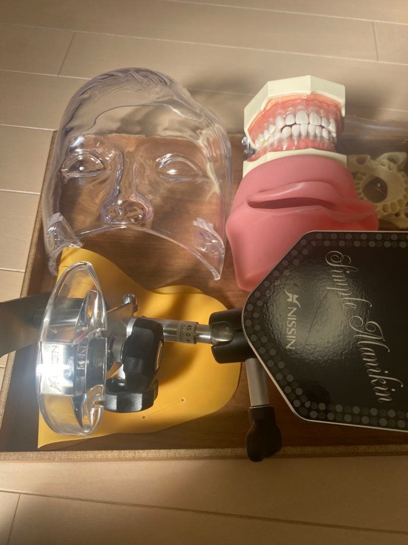 顎模型　人工歯石　セット売り　歯科