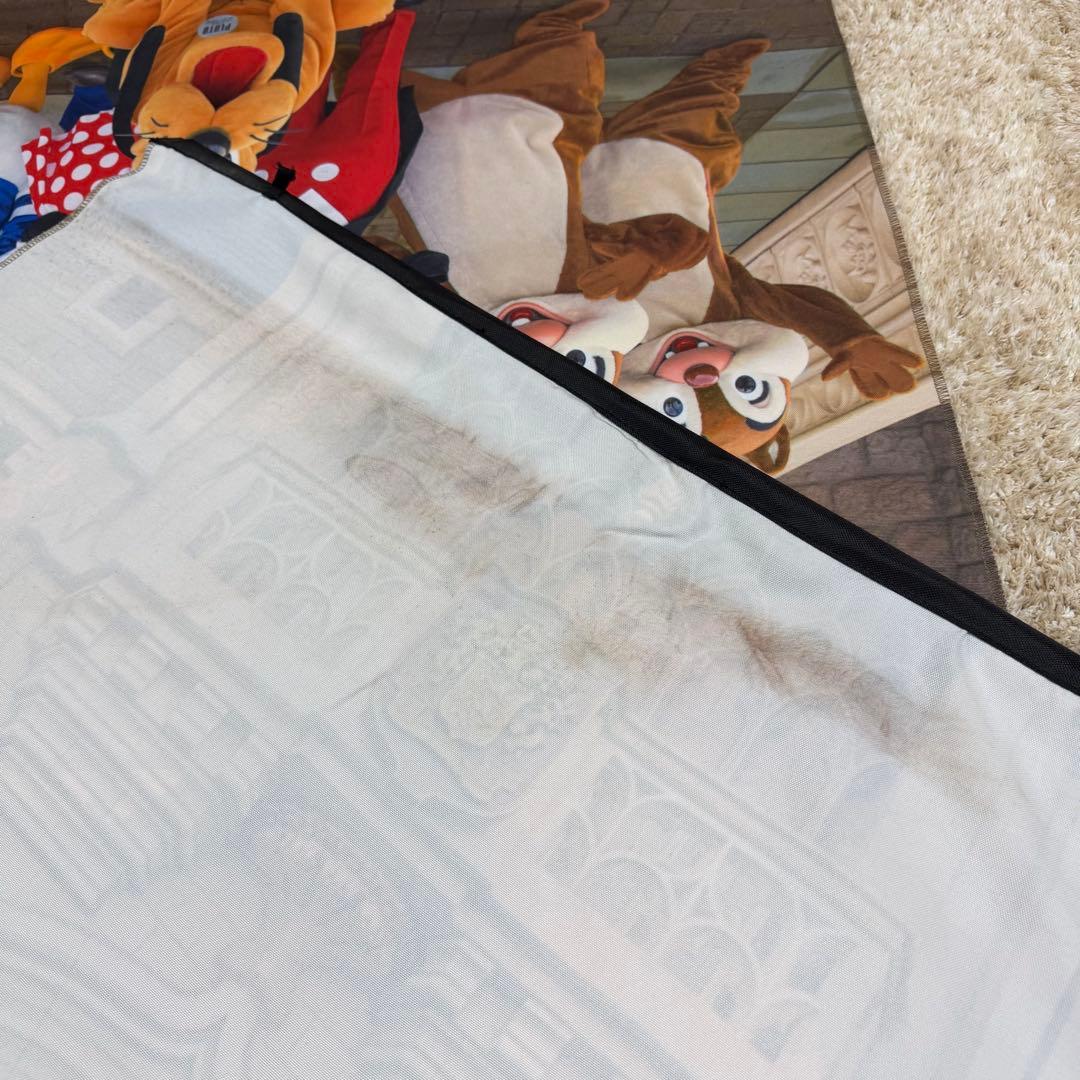 ディズニー 実写 タペストリー 篠山紀信 ミッキー ミニー ドナルド デイジー