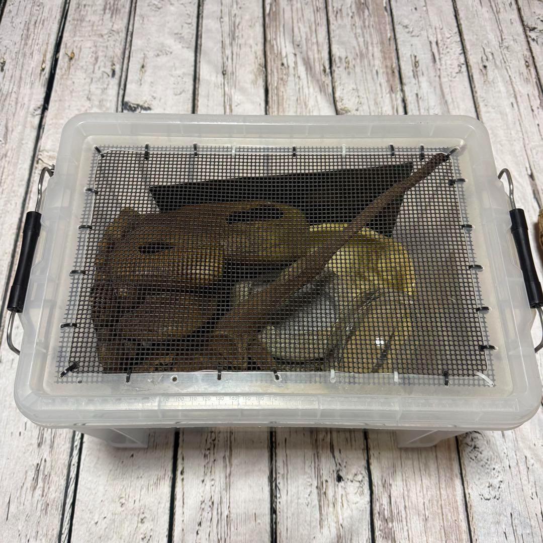 超お買い得セット　匿名配送　送料無料　飼育用品セット　餌皿　エキゾテラ　ボックス