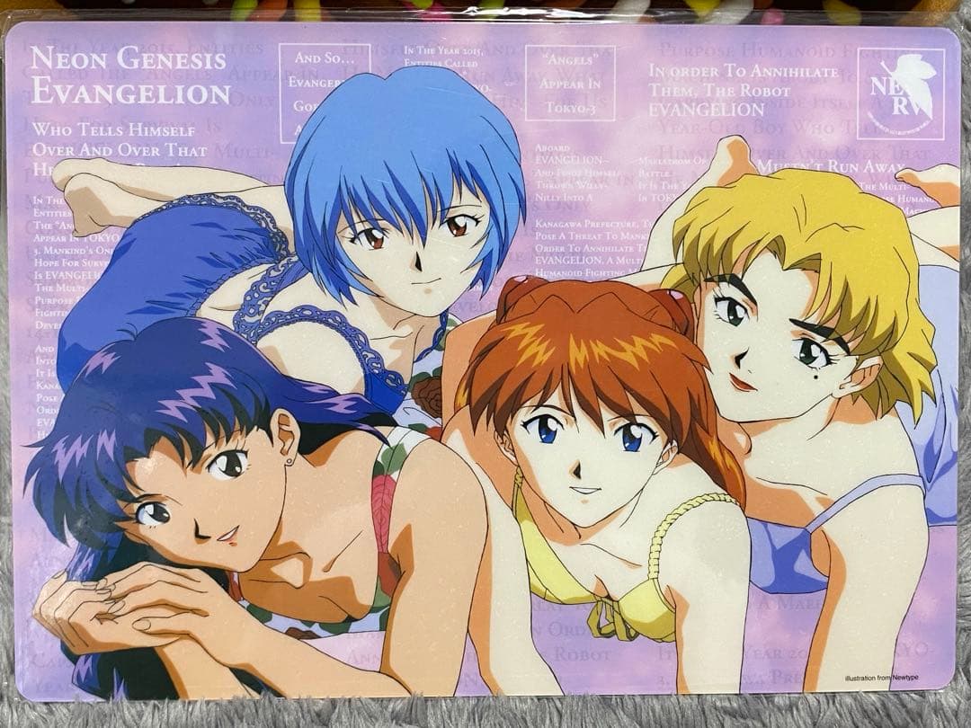 【貴重品】新世紀エヴァンゲリオン B5サイズ下敷き　10枚セット