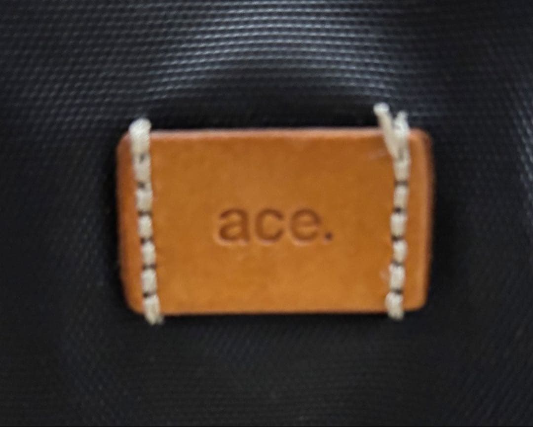 ナ*ナ様 【限定価格‼️】エース ジョガベル 2ウェイ リュック キャリー