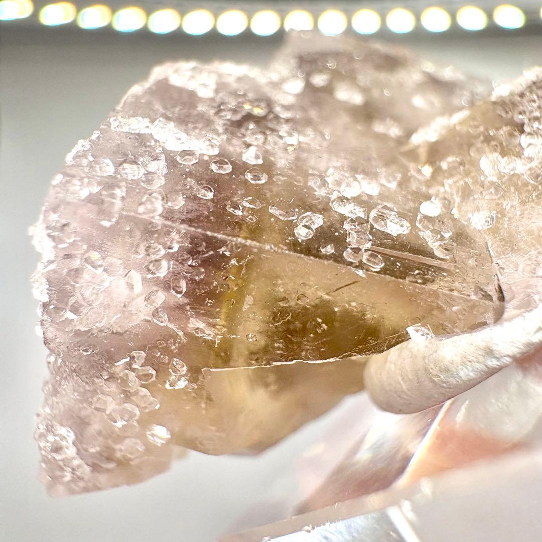 581 イギリス　シェリーツインズポケット　フローライト