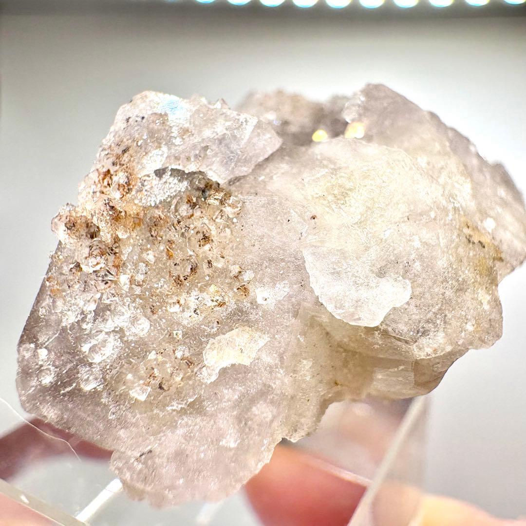 581 イギリス　シェリーツインズポケット　フローライト