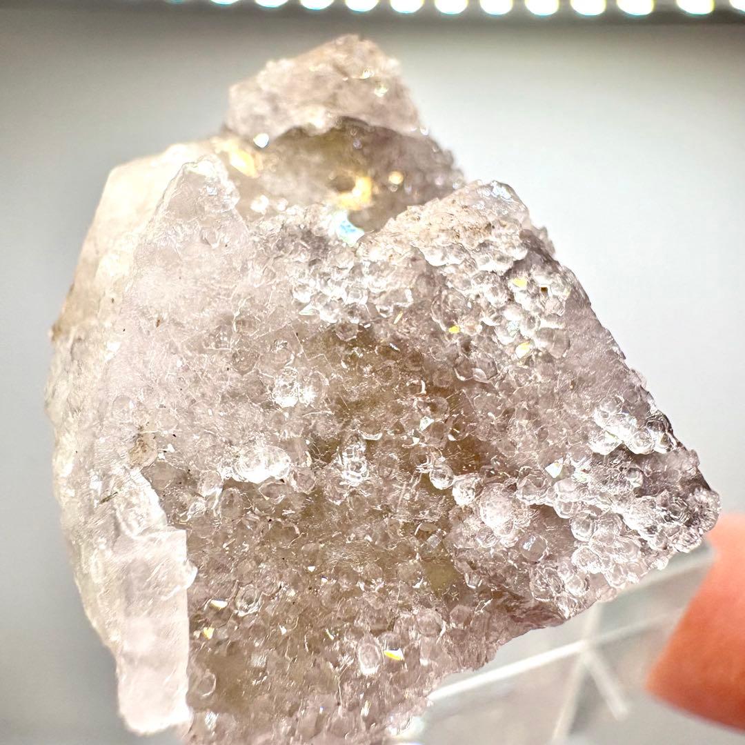 581 イギリス　シェリーツインズポケット　フローライト