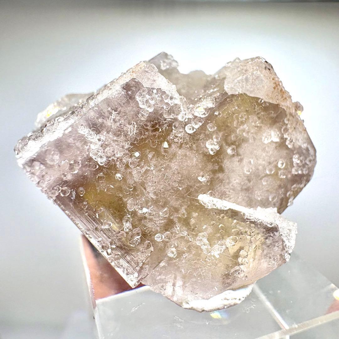 581 イギリス　シェリーツインズポケット　フローライト