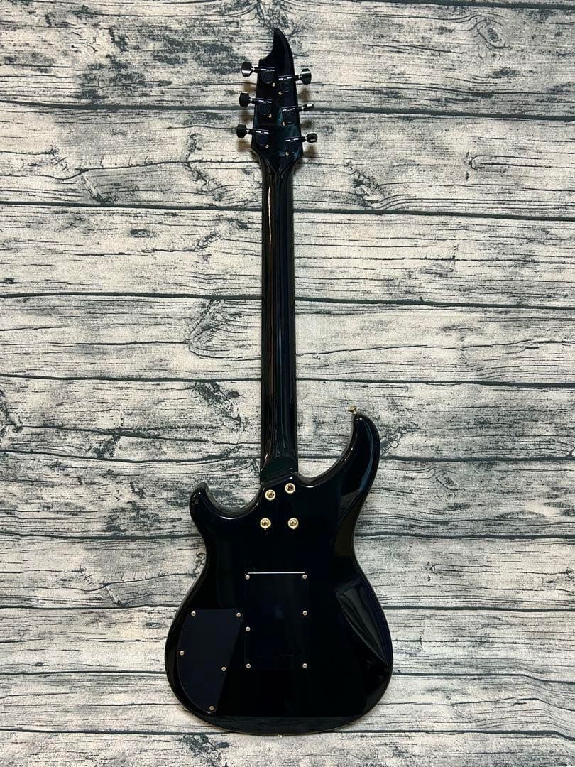 Bill Lawrence BY1R-60G 五十嵐 美貴シグニチャーモデル