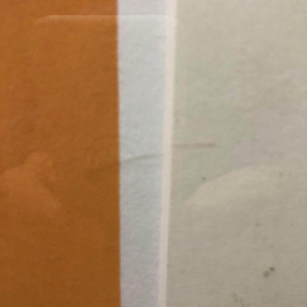 ケン・ドーン シルクスクリーン Three Shells サイン入り