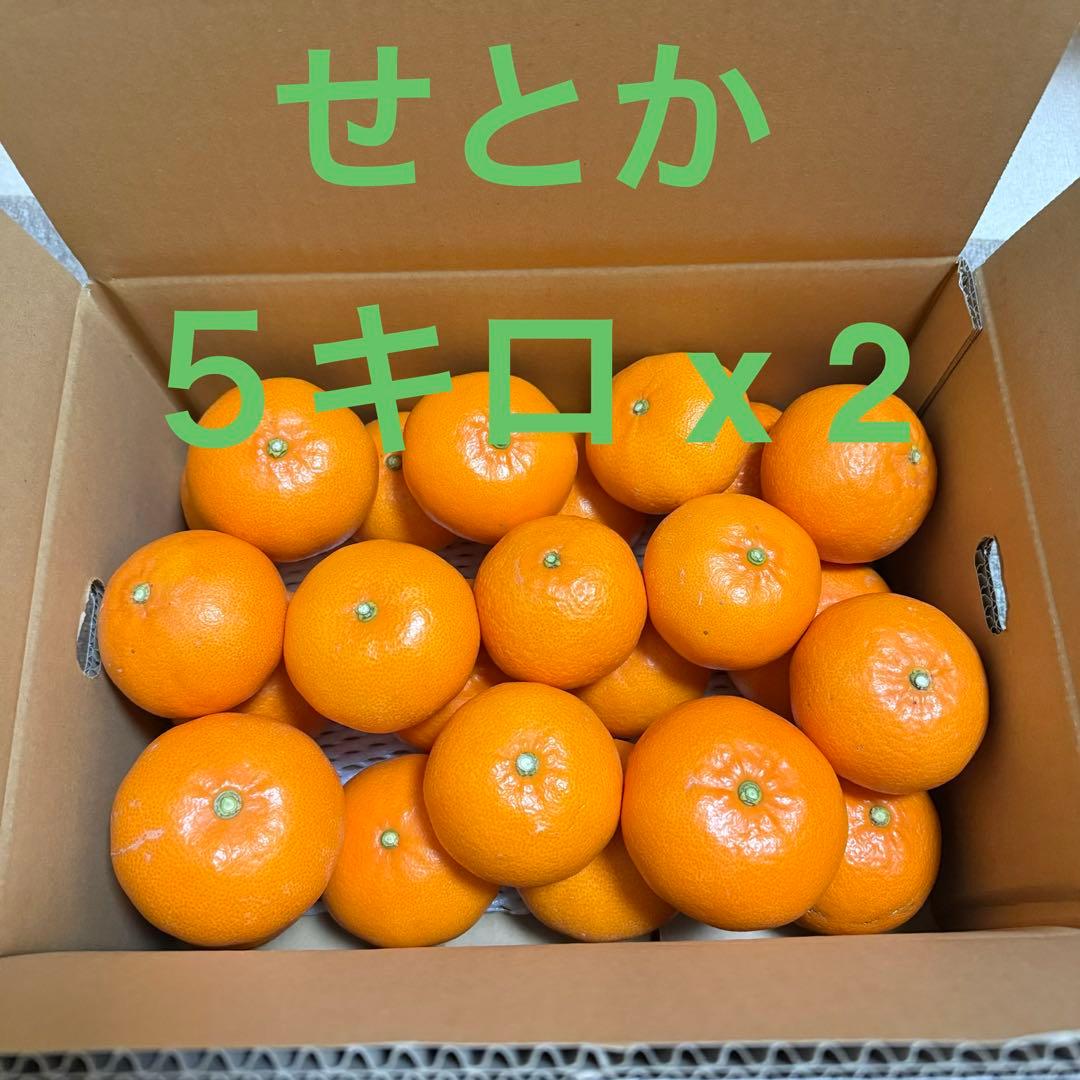 せとか(5kg)x2・特選M-3L玉