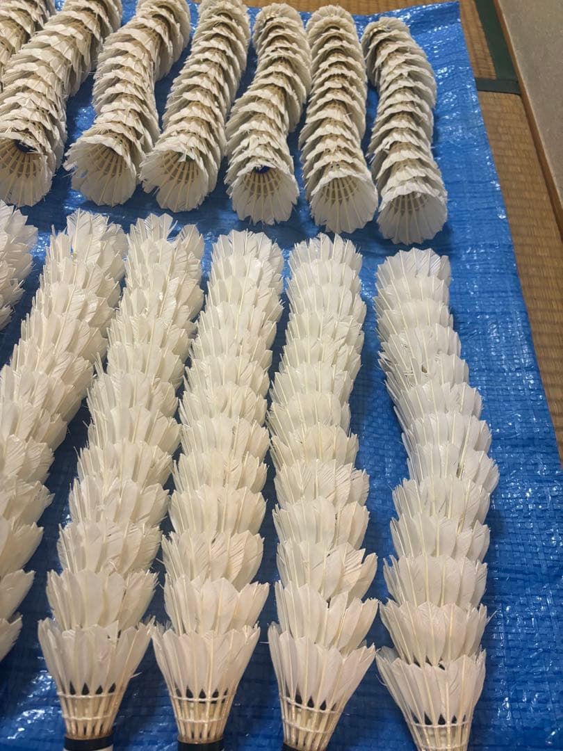 中古⭐︎ニューオフェシャルのみノック用シャトル⭐︎260球