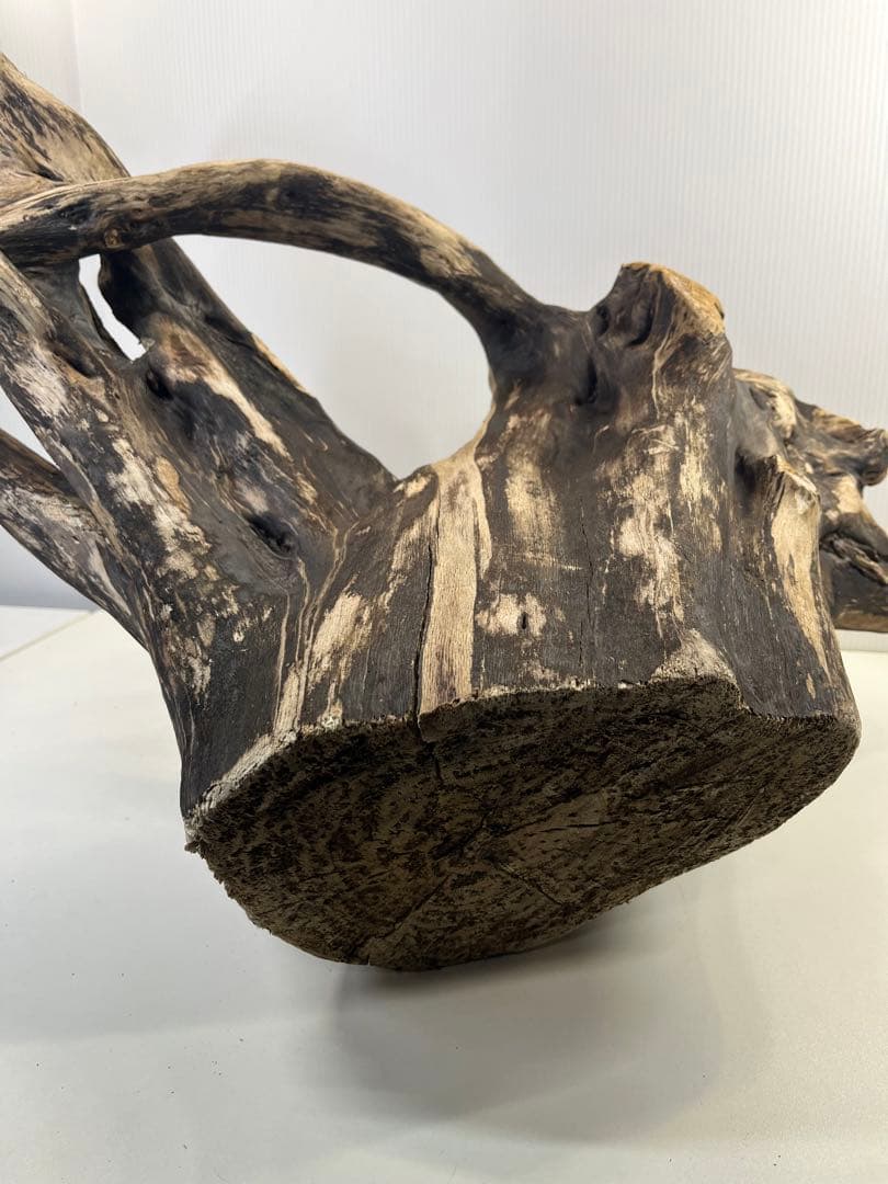 k90特大流木 アク抜き済み 爬虫類シェルター レイアウト用 登り木 インテリア