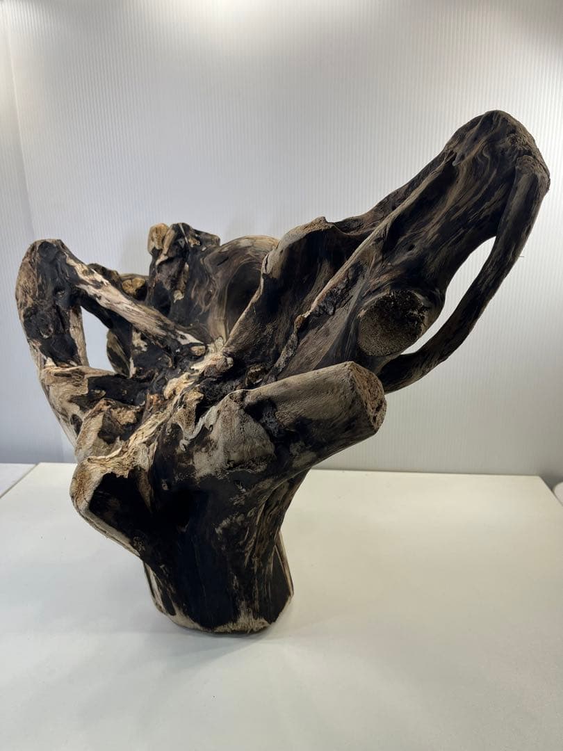 k90特大流木 アク抜き済み 爬虫類シェルター レイアウト用 登り木 インテリア