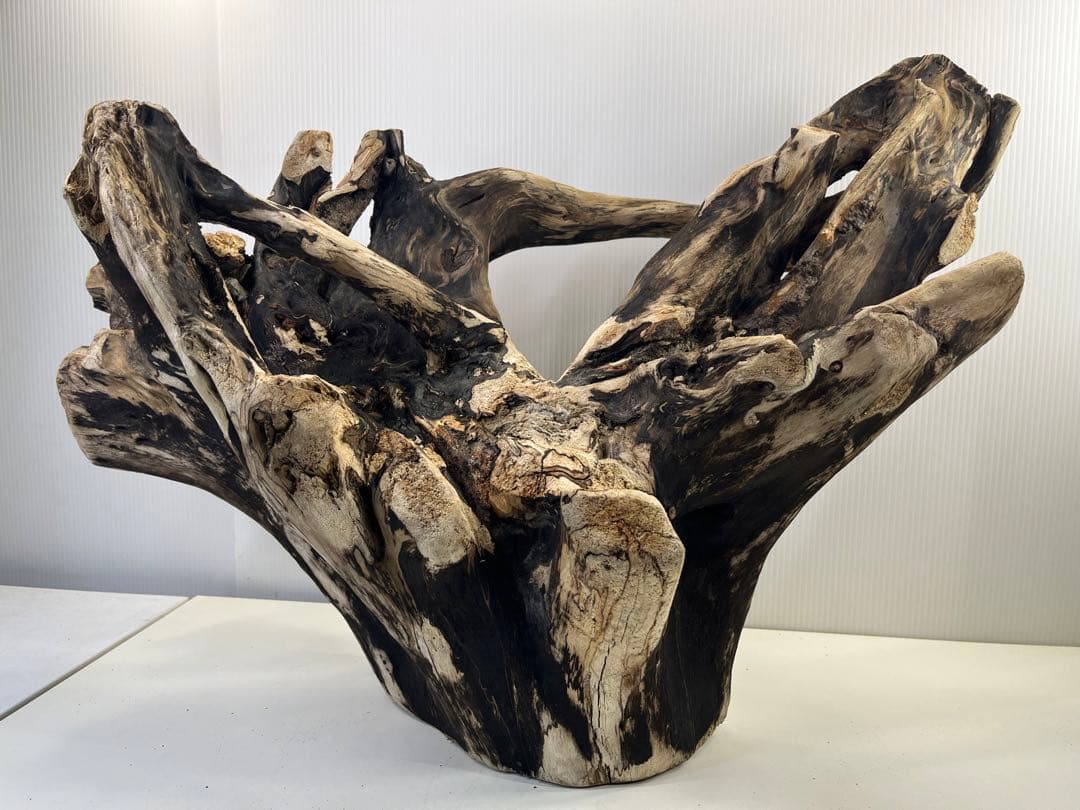 k90特大流木 アク抜き済み 爬虫類シェルター レイアウト用 登り木 インテリア