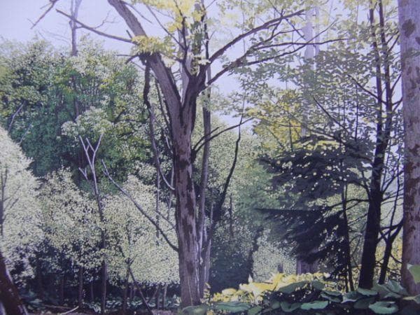 百瀬智宏【水無月の蝉時雨】希少画集画、状態良好、新品高級額装付