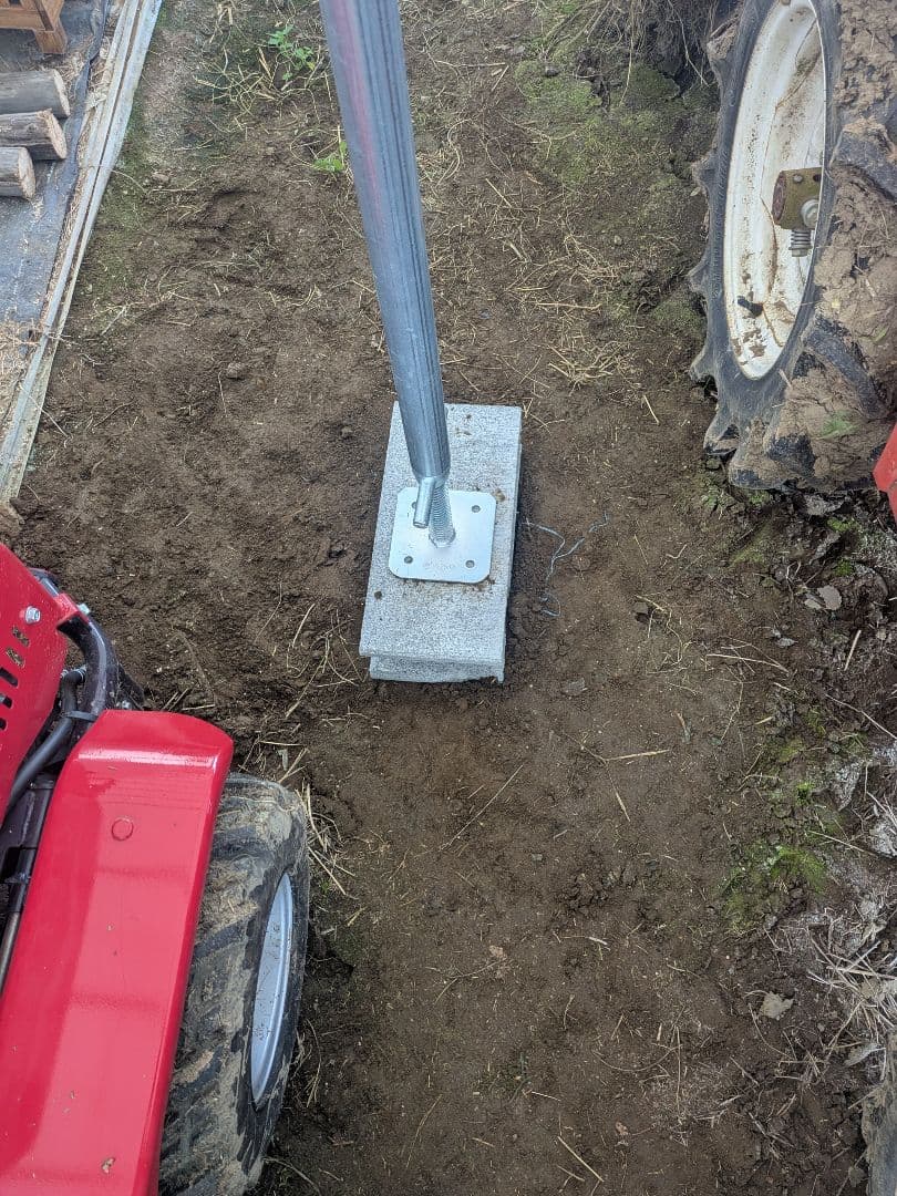 まみまみ　10キロ