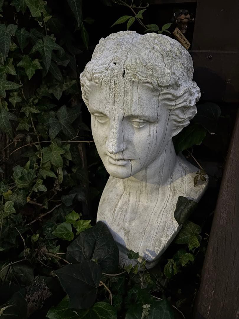 アンティーク　ビーナス　石膏製