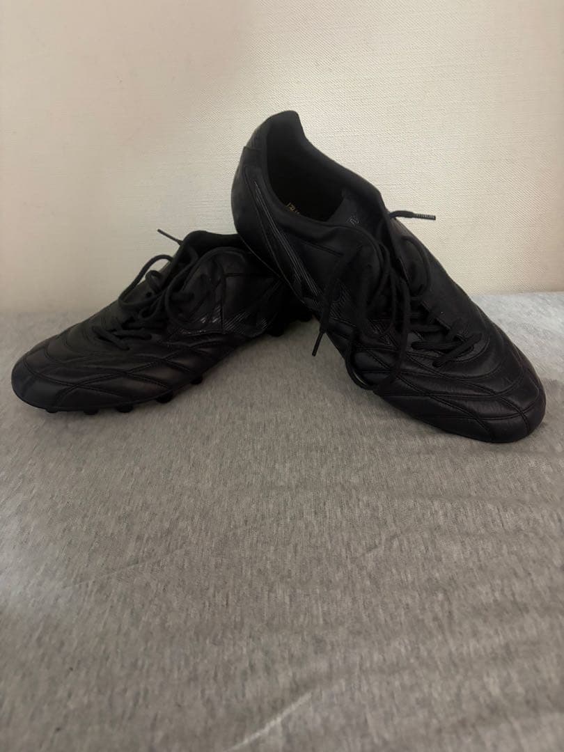 モレリア PROTO JAPAN Ltd AG