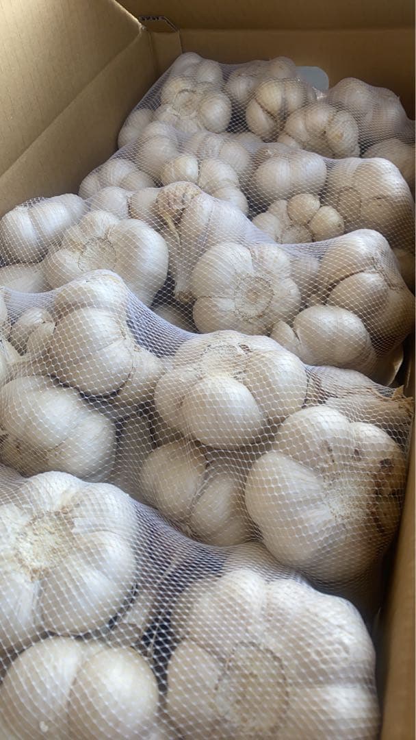 新物　青森県にんにく4キロＬ
