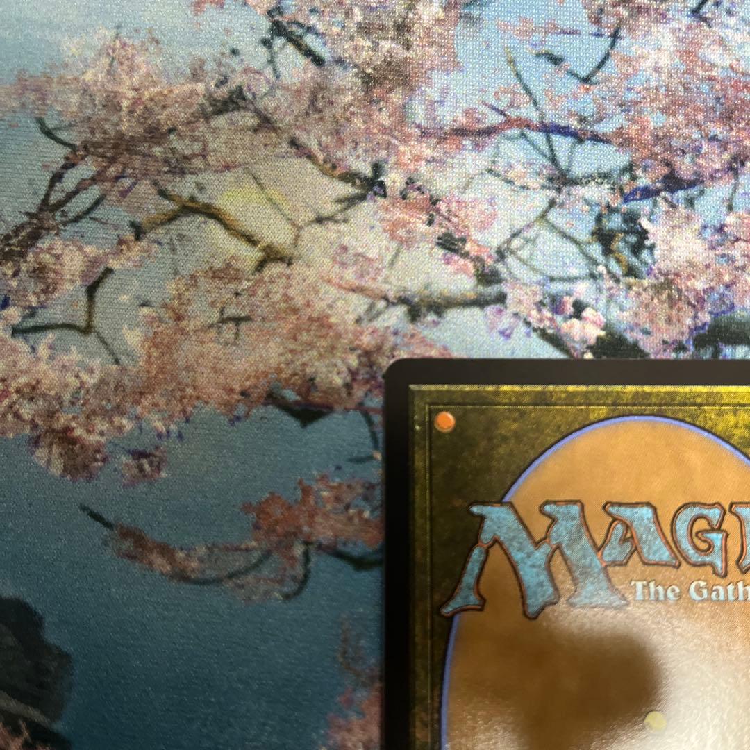 【タケ】MTG 乾燥台地/Arid Mesa ドラゴンスケイルFoil