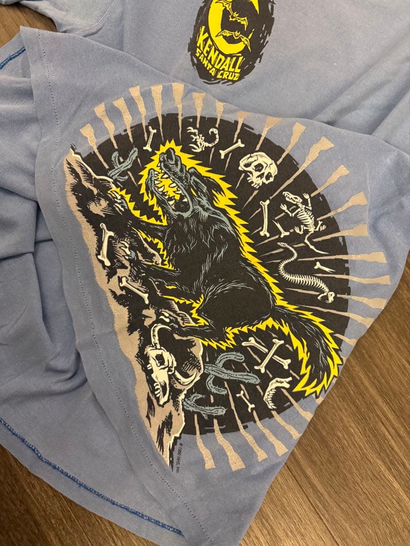 レア！サンタクルーズ　santa cruz ケンダル　ヴィンテージ