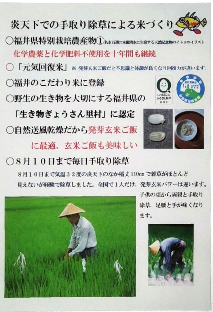 他の農家は体が悪くなる？ ７年産コシヒカリ 玄米10kg 特別栽培①農薬等不使用