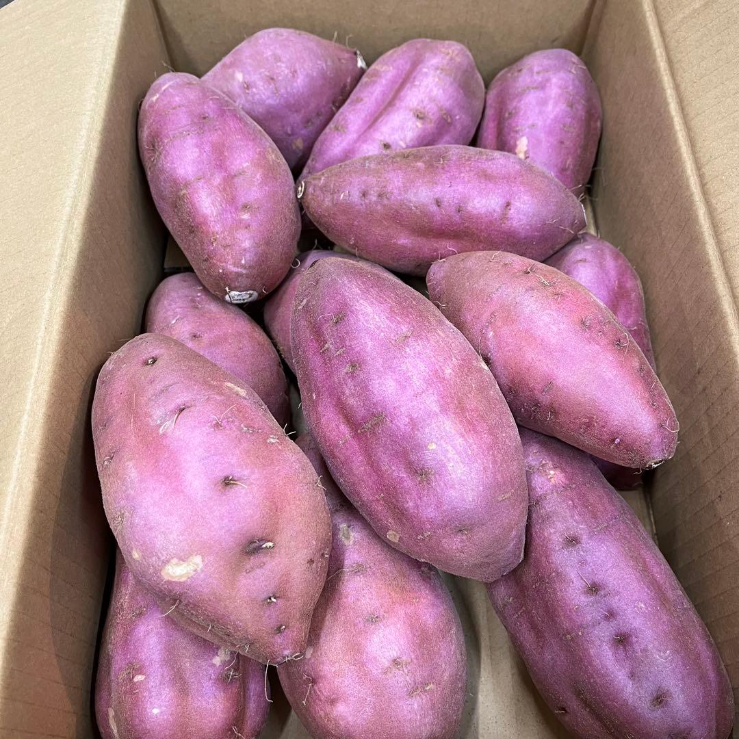 栗かぐや Lサイズ 20kg さつまいも