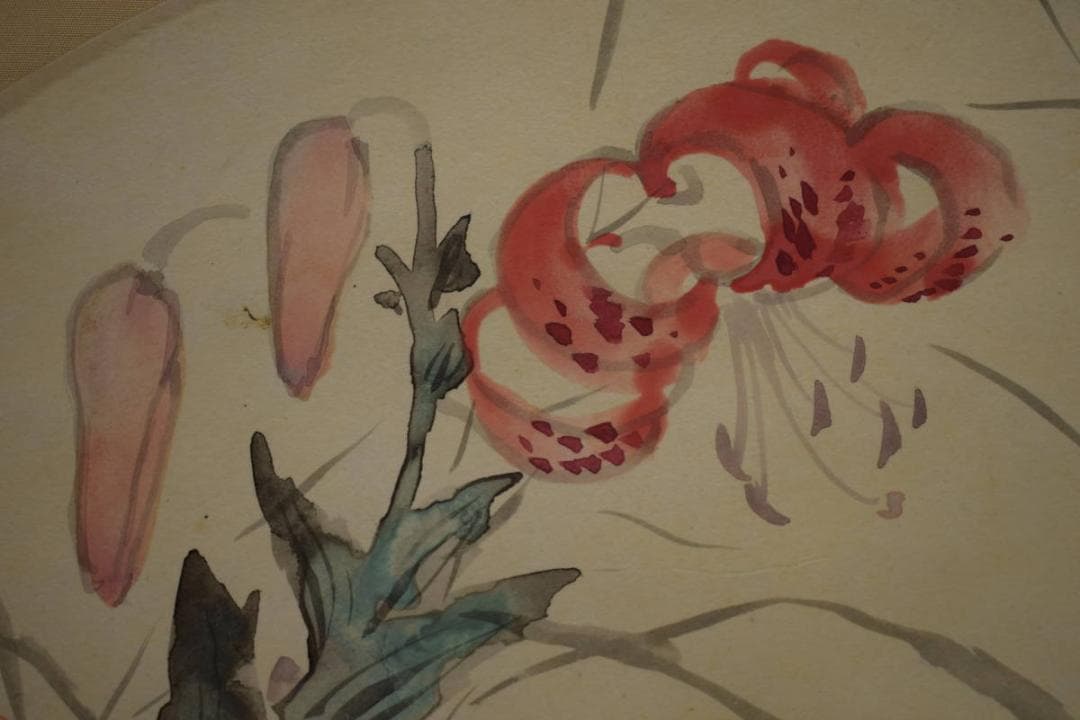 真作/備後福山生/羽田桂舟/百合図/扇面/布袋屋掛軸HI-835