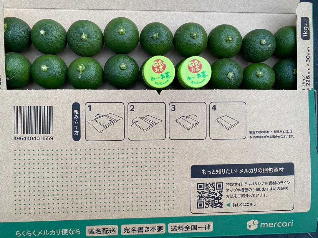 徳島県神山町産　《冷蔵貯蔵すだち》 綺麗なLサイズ　7キロ　　③