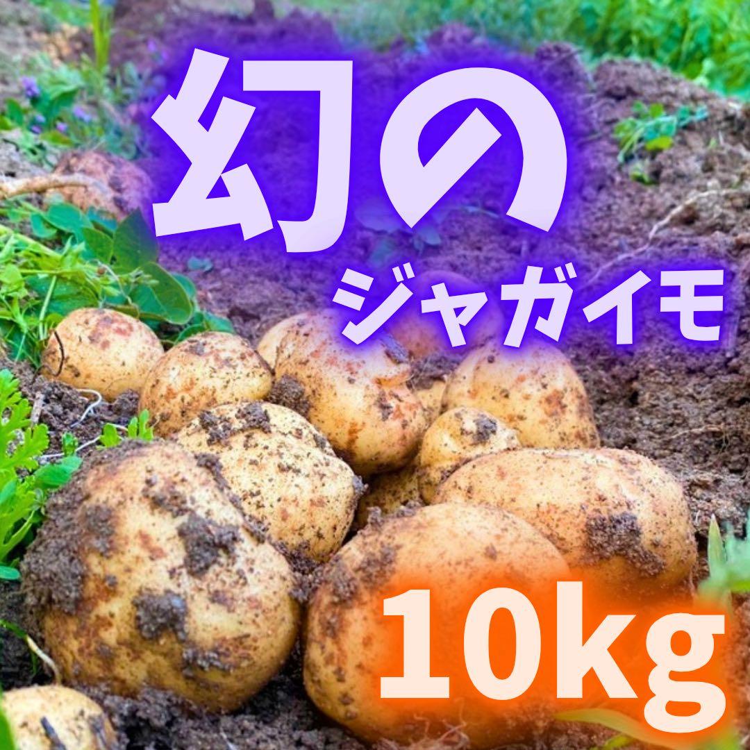 幻の　じゃがいも　ジャガイモ　07