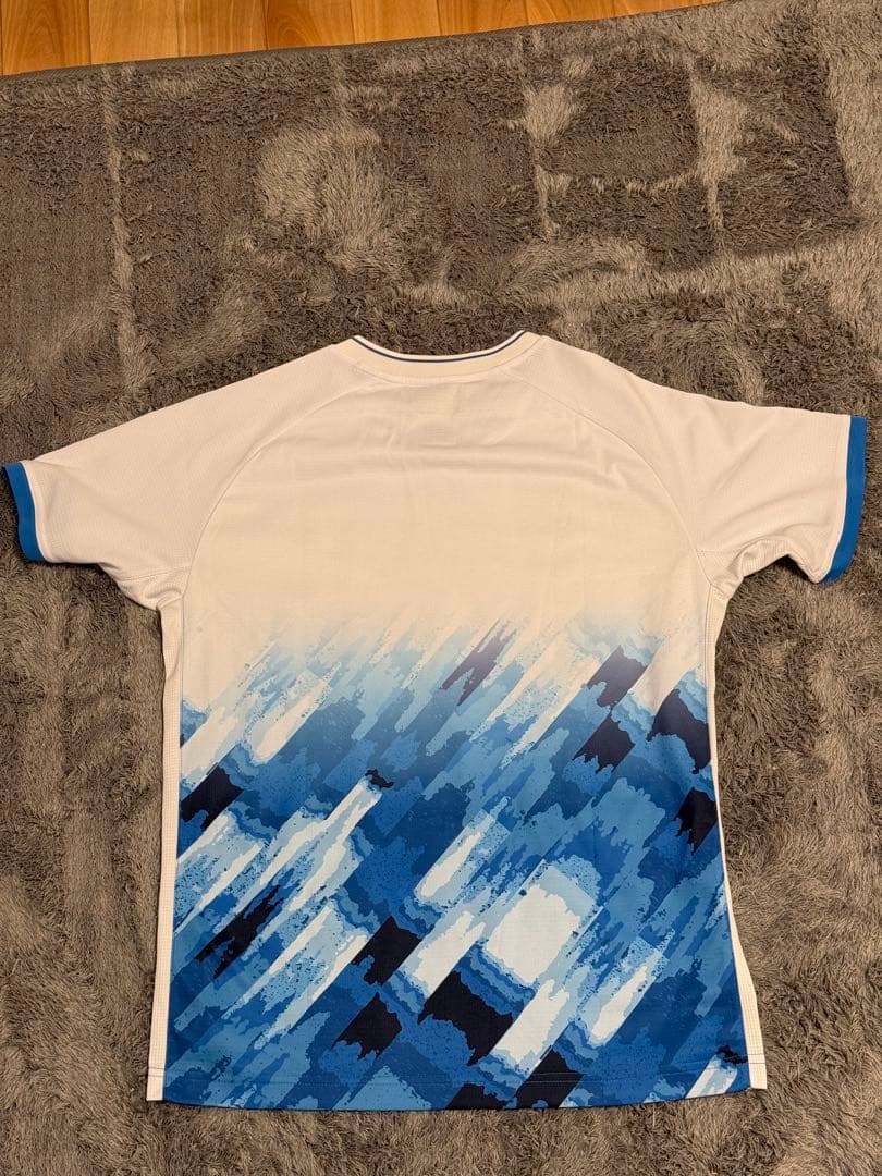 (あーる)YONEX バドミントン ウェアLサイズ 中国代表モデル 上下