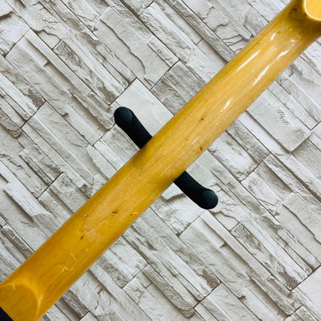 PhotoGenic st スケルトンブルー アクリルエレキギター