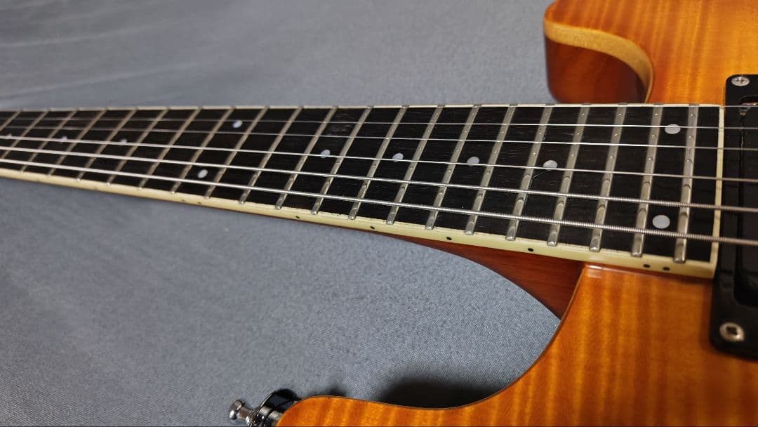 FERNANDES APG-55AMB 2000年代初頭