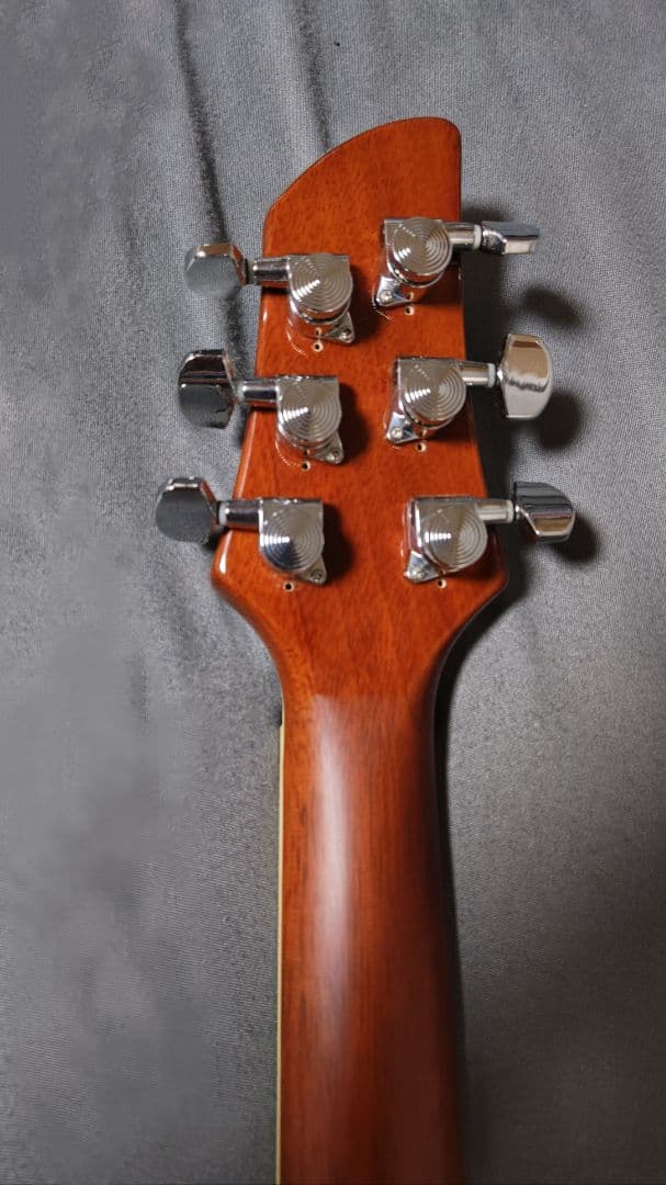 FERNANDES APG-55AMB 2000年代初頭