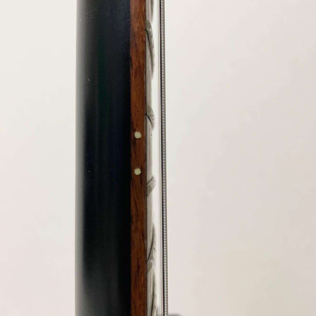 【希少】エピフォン 1958 Goth エクスプローラー　ゴシック