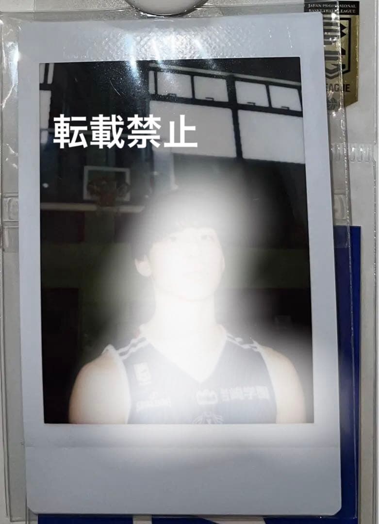 横浜ビー・コルセアーズ 撮り下ろしチェキ