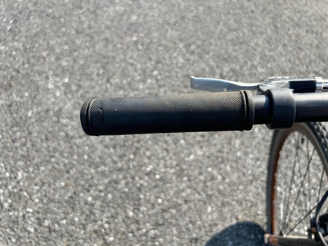 自転車本体 LOUIS GARNEAU LGS-CS5