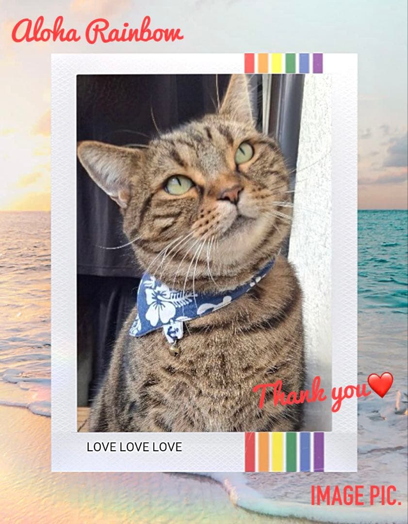 No.3108☘️ 犬猫用 リバーシブルバンダナ Sサイズ ハワイアン ホヌブルー