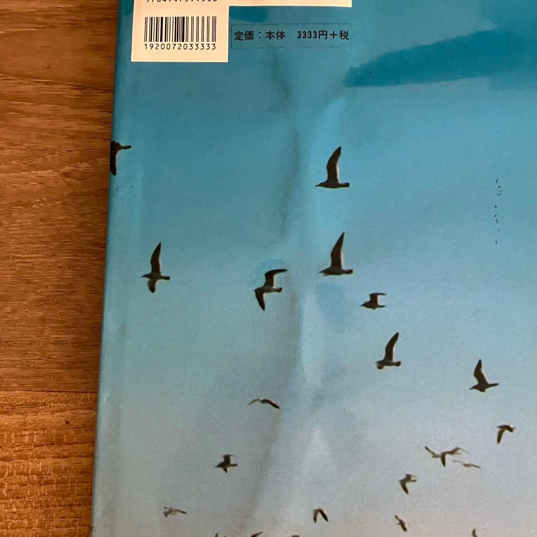 マガジンハウス HIROMIX 写真集 光 【希少】