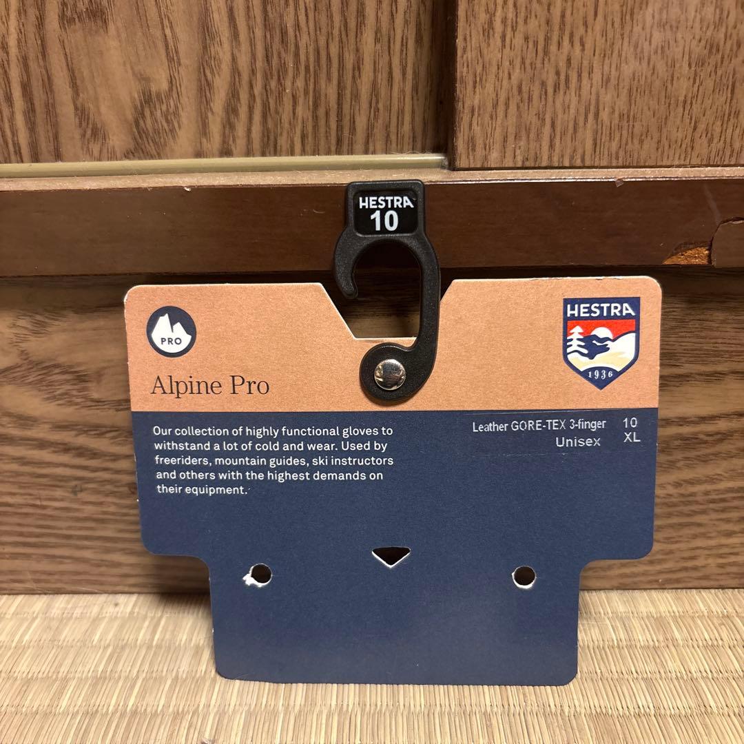 Hestra Alpine Pro 3フィンガーグローブ サイズ10
