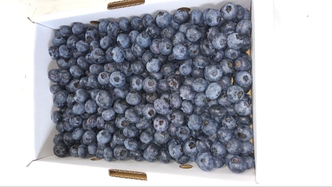 ♦[うさちゃんまま]♦[他の方はNGです。]