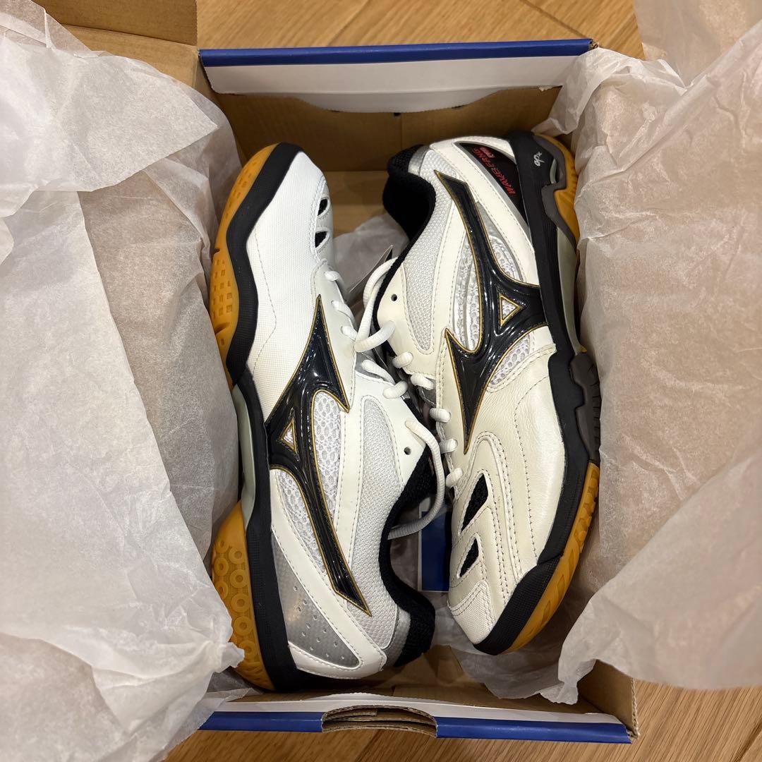 Mizuno 2足セット バドミントンシューズ