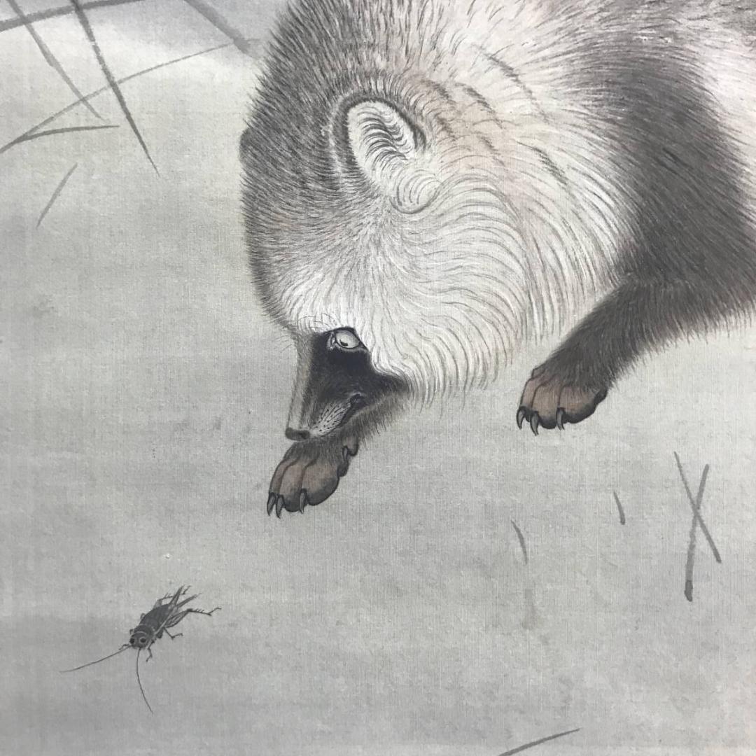 【真作】晴雲/月下狸図/タヌキ図/花鳥図/掛軸/名家伝来/AC-670