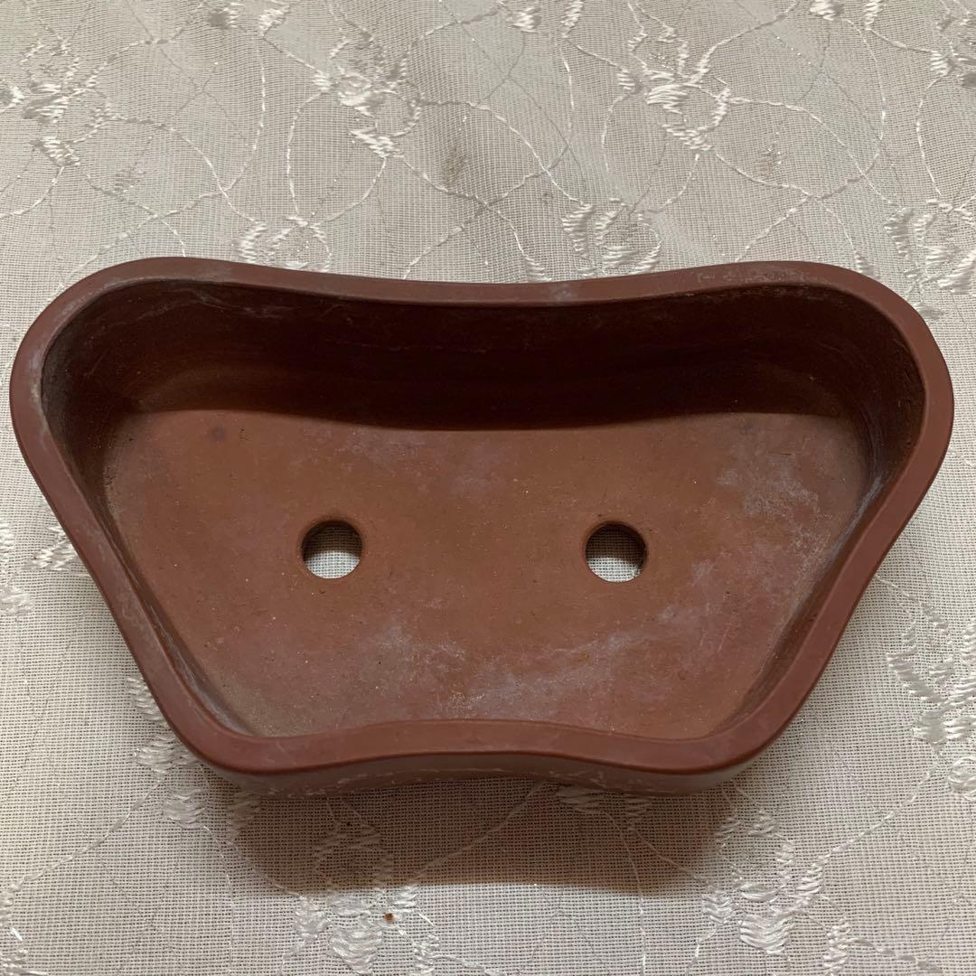 中国鉢　盆栽鉢　落款有り