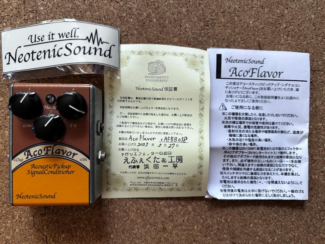 ギター Neotenic Sound AcoFlavor