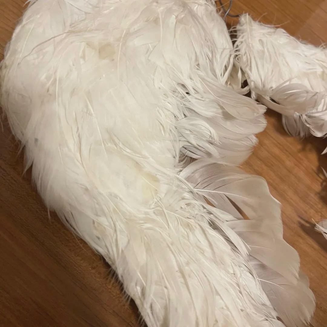 アンティーク エンジェルウィング 天使 羽根 羽 アンティークドール