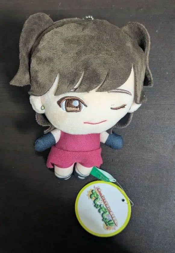 鈴木愛理 DVD・カレンダー・ぬいぐるみ・ポスター・フォトブックグッズセット