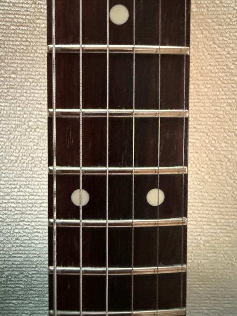 Bill Lawrence BCOR-55B ／ストラップ／ソフトケース付き