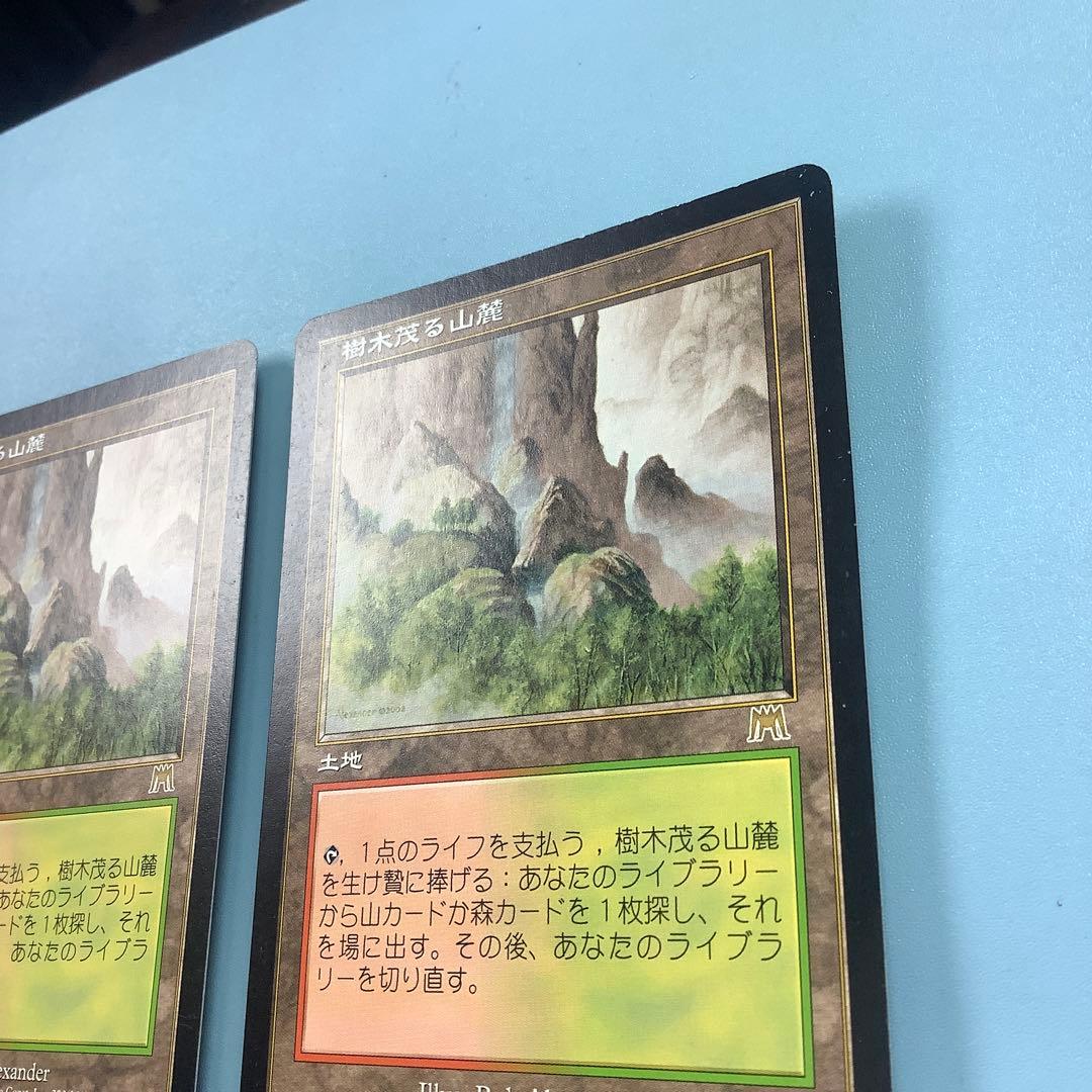 樹木茂る山麓/Wooded Foothills ONS日本語2枚セット